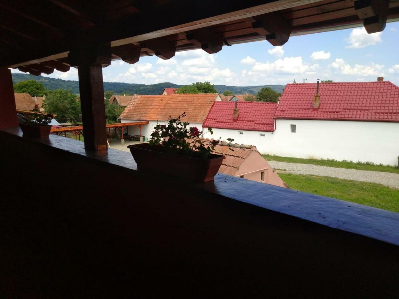 Casa Suzy & Roxy Lägenhet Arpasu de Jos Exteriör bild