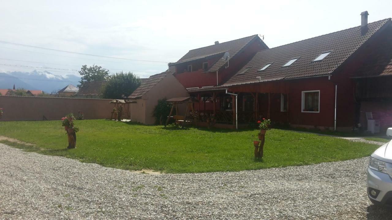 Casa Suzy & Roxy Lägenhet Arpasu de Jos Exteriör bild
